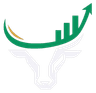Momentum Bullz